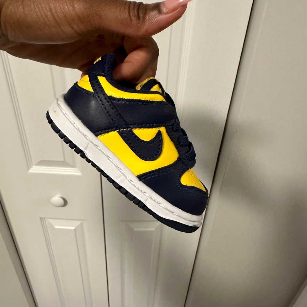 Nike Dunk Low “Michigan” TD